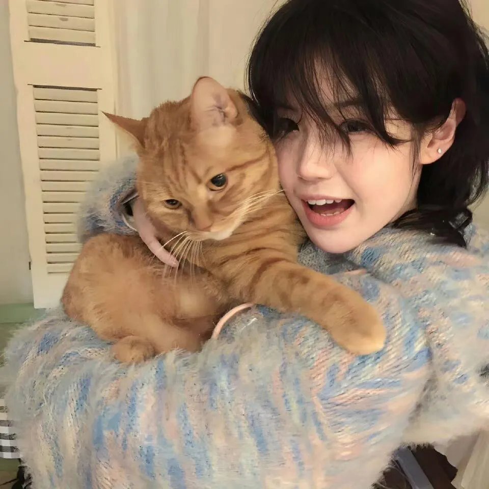 天赐萌宝，全家宠上天